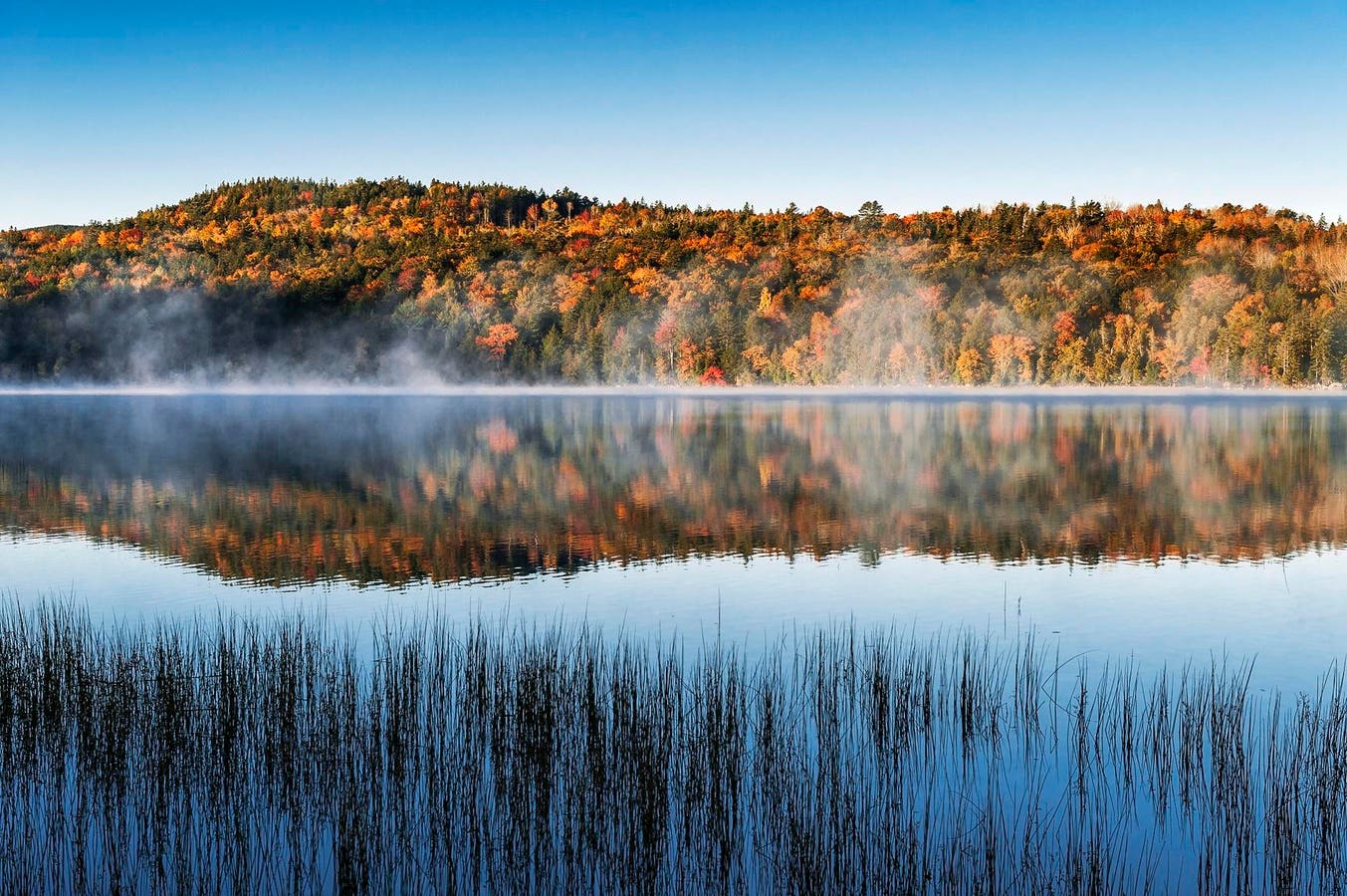 9 Best National Parks For Fall Foliage, According To New Report