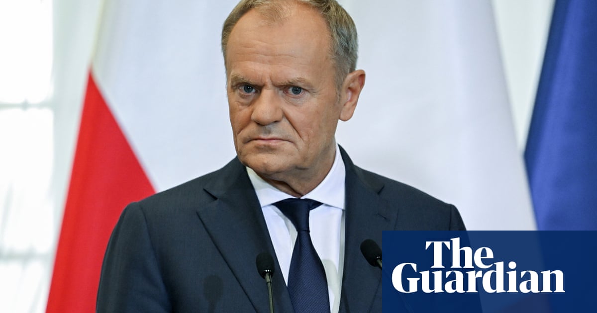 German border plan to stop ‘irregular migration’ unacceptable, says Tusk | Germany