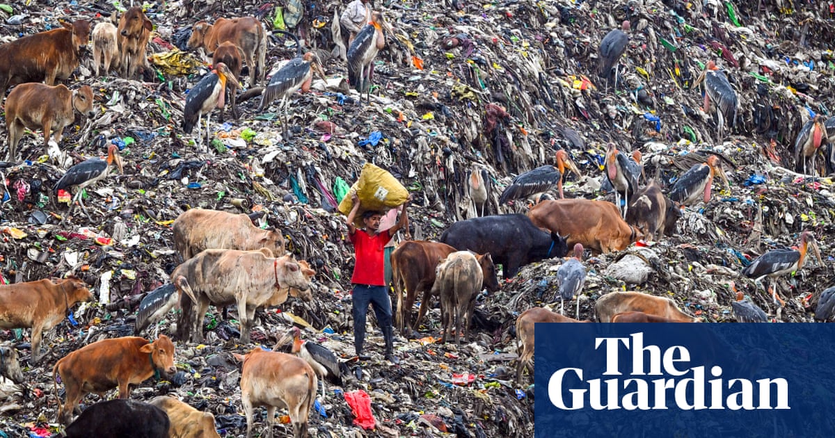 Consumerism and the climate crisis threaten equitable future for humanity, report says | Climate crisis