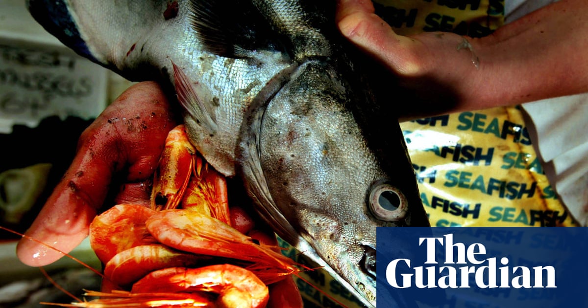 Garden hake and ‘poet’ John Dory: our ignorance about fish is off the scale | Fish