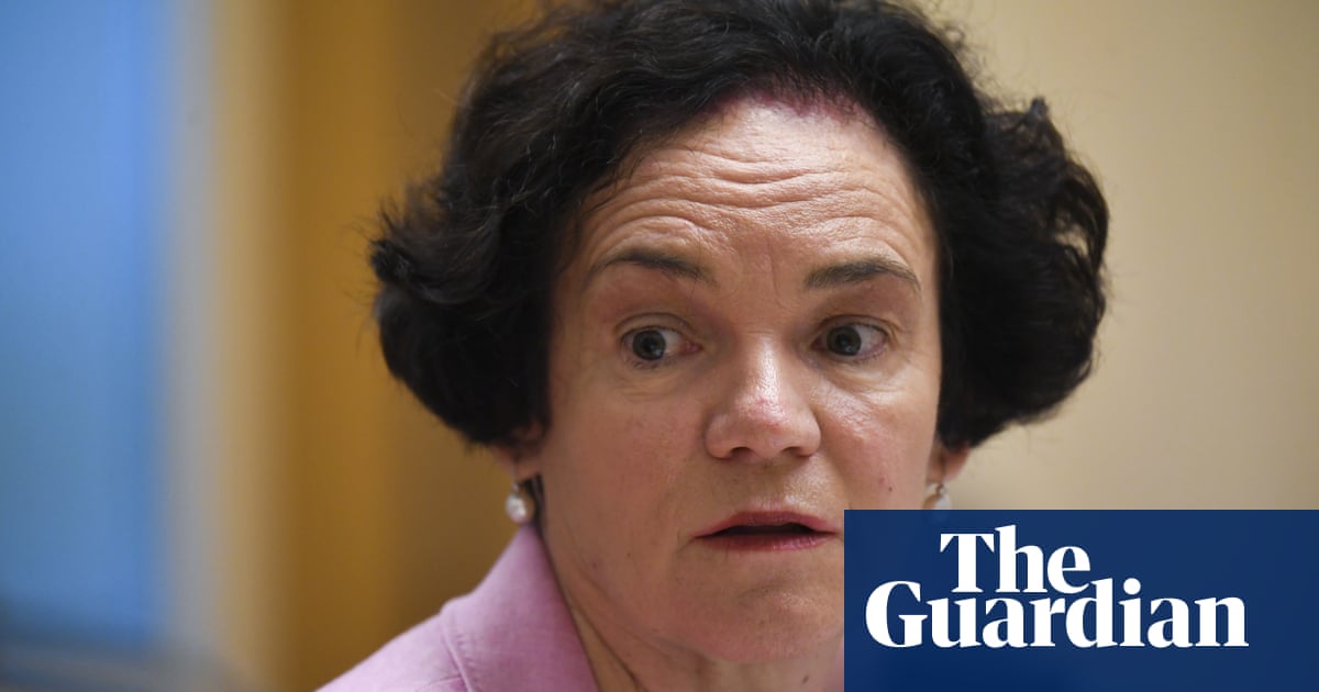 Robodebt department head claims she was unfairly blamed for having ‘dreamed up’ unlawful scheme | Centrelink debt recovery