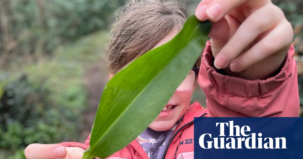 Nature boys and girls – here’s your chance to get published in the Guardian | Wildlife