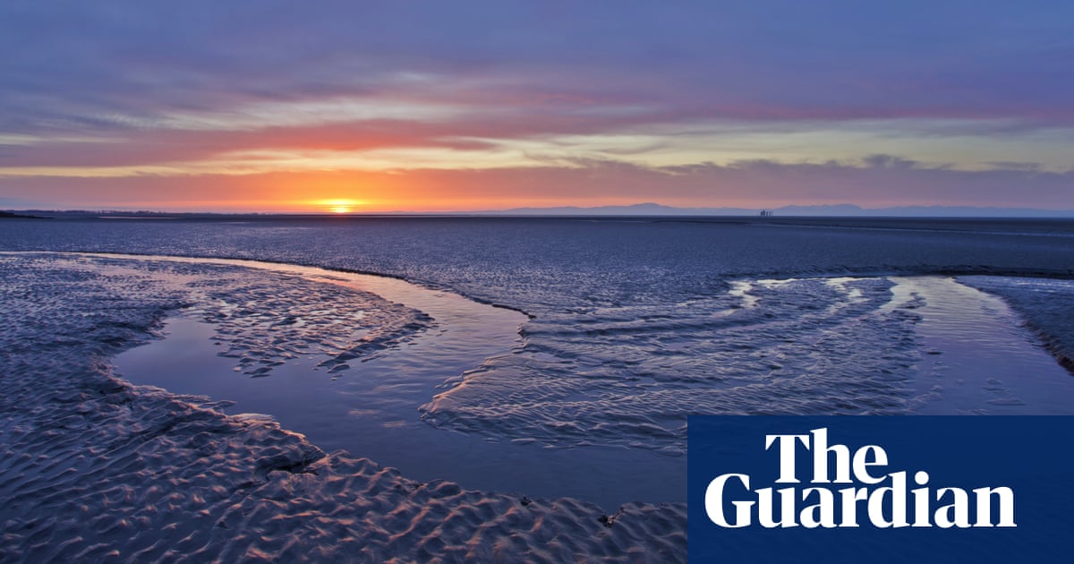 ‘Vast’ carbon sink of mud on seabed needs more protection, study shows | Greenhouse gas emissions