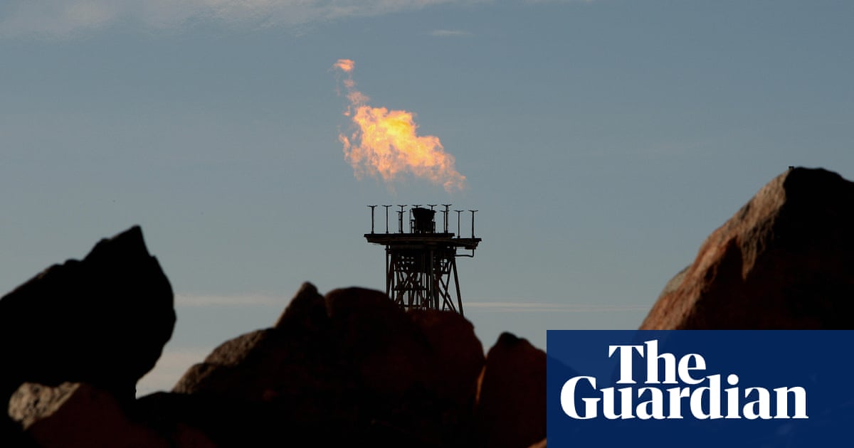 Western Australia’s decision to lift gas export ban will drive up emissions, conservationists say | Energy