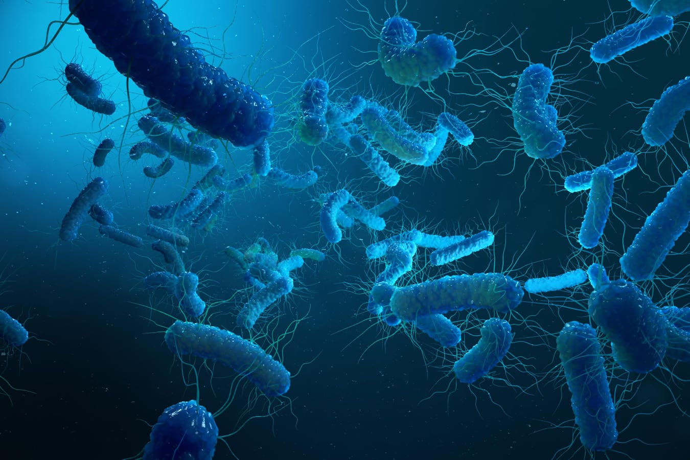 Smart Antibiotics Could Fight Infections While Sparing The Gut