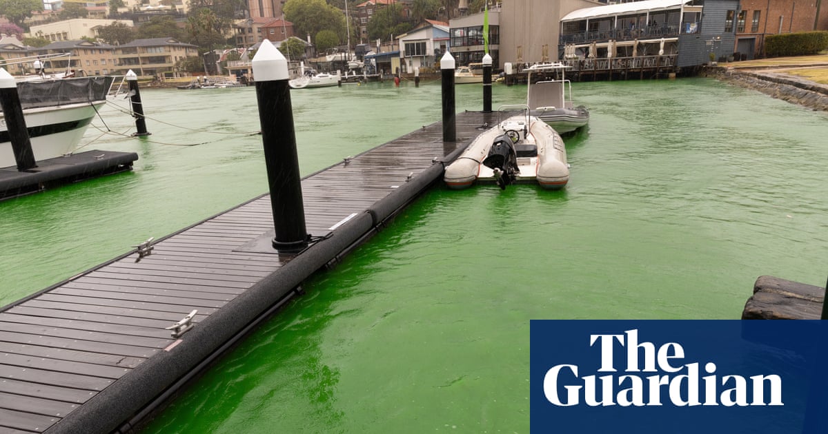 Dye leak turns water bright green in Sydney harbour at Kirribilli | Sydney