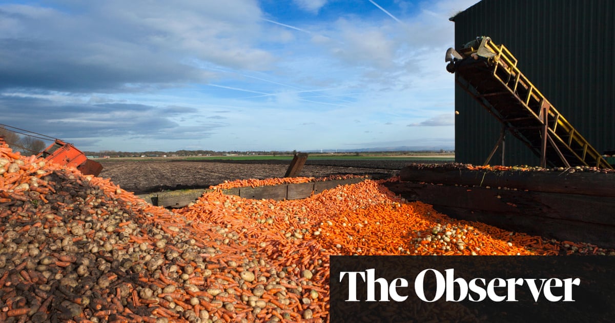 Force companies to report their food waste, say leading UK retailers | Food waste