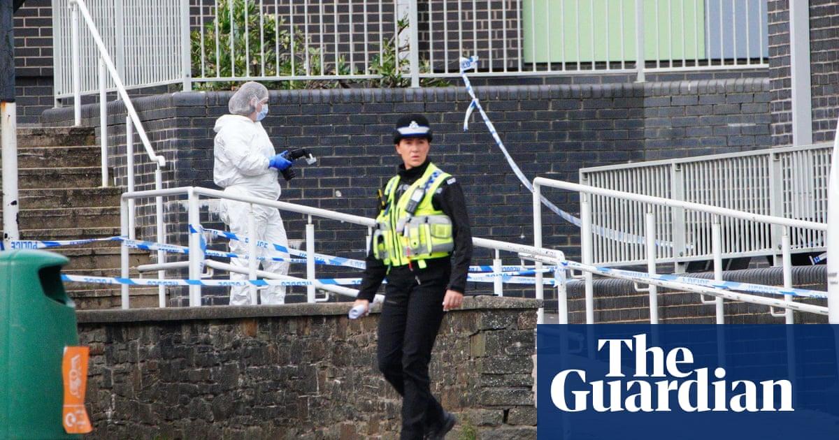 ‘That’s one way to be a celebrity,’ girl said after school stabbing in Wales, court told | UK news