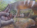 New bone-crushing Tasmanian tiger species dug up by paleontologists