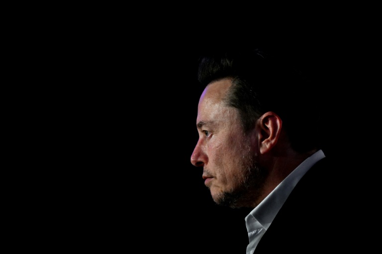 Tech mogul Elon Musk has attacked the Australian government over proposed laws that would fine social media giants for failing to stem the spread of misinformation (Sergei GAPON)