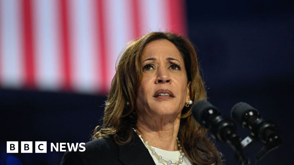 Michigan Arab-Americans in dilemma over Kamala Harris stance on Gaza