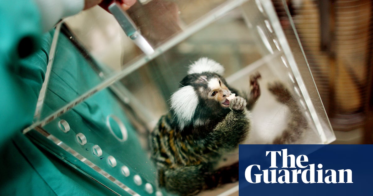 The world is shifting away from using animals in research. Will Australia get left behind? | Science