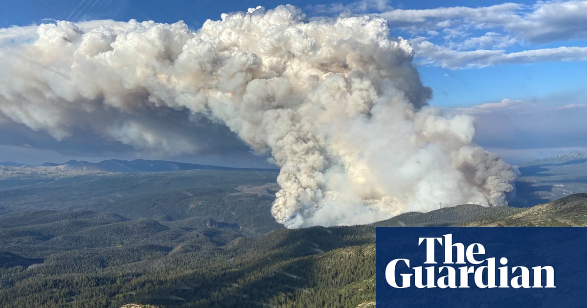 Canada’s 2023 wildfires released more greenhouse gases than most countries | Canada