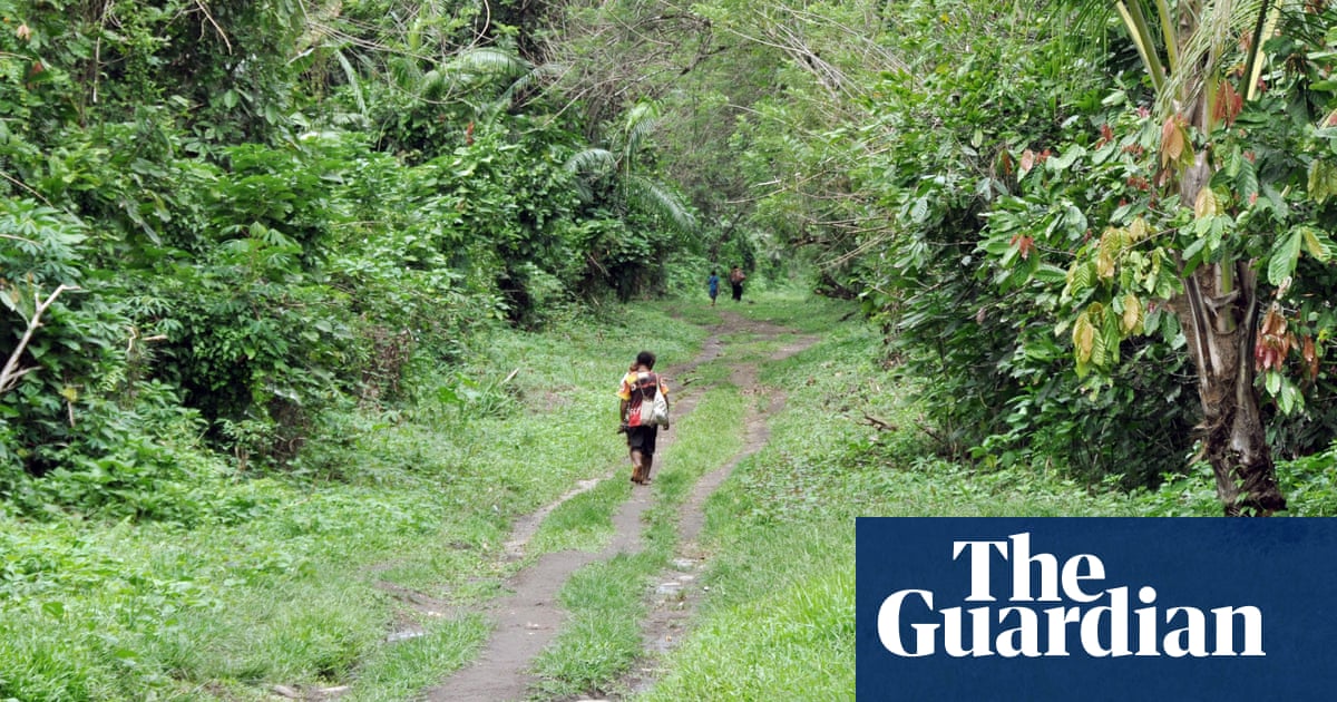 Australians stranded on Kokoda track resume walk after protests shut down sections | Papua New Guinea