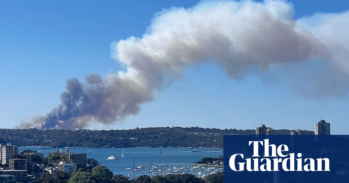 Bushfire on Sydney’s northern beaches threatens homes as some warned it’s too late to leave | New South Wales