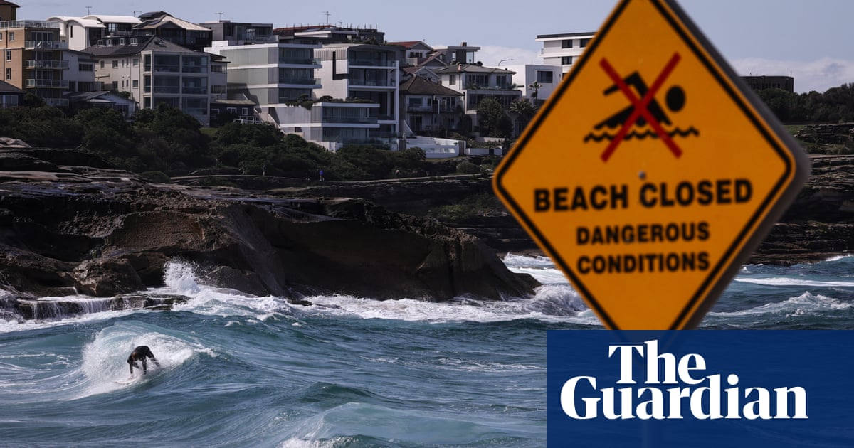 Woman killed by falling tree branch in Sydney as wild winds hit NSW coast | Australia weather