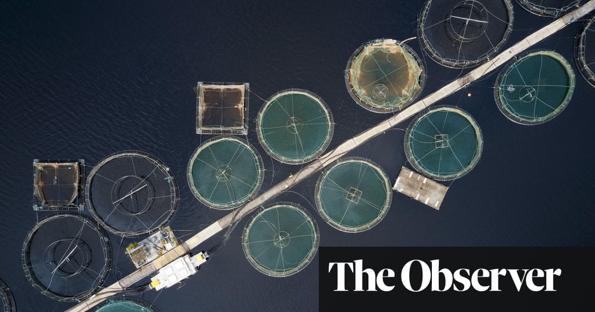 First large-scale UK onshore salmon project at risk over ‘factory farm’ claims | Fishing industry