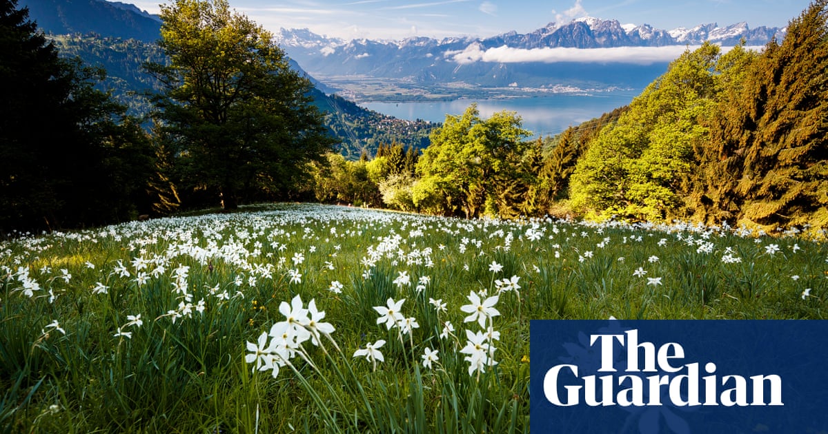 Swiss voters reject biodiversity proposal in blow to conservation campaigners | Switzerland