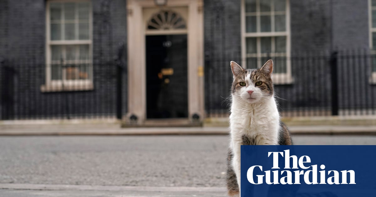 Starmer leads with compromise for new family pet – and gets ‘dog-like’ cat | Keir Starmer