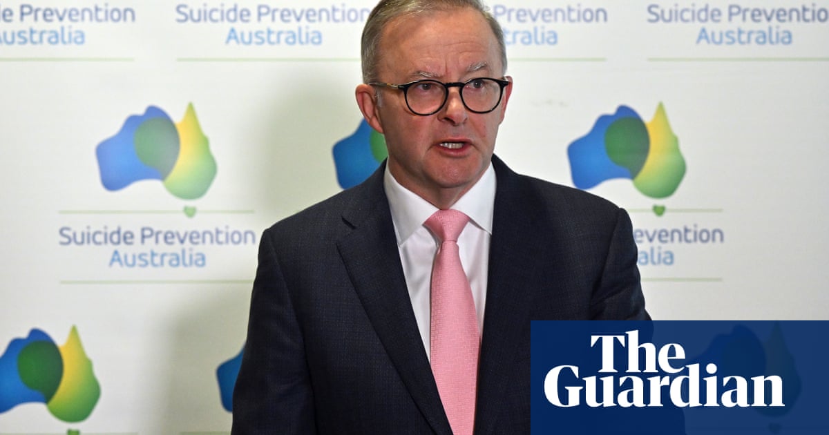 Robodebt-linked deaths could have been prevented if policies assessed for suicide risks, advocates argue | Mental health