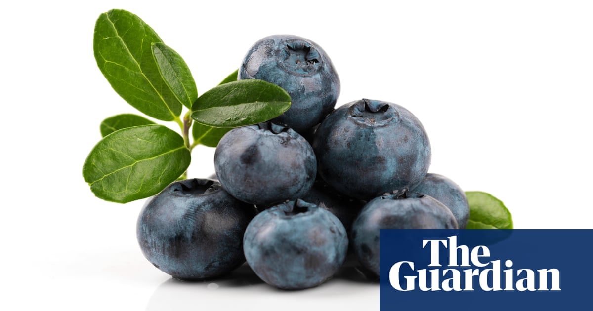 Purple patch for British blueberries as sales boom | Food & drink industry