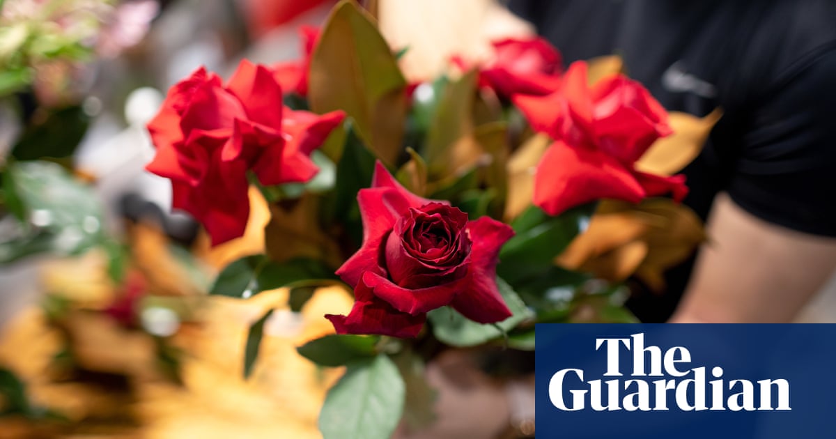 Flower company admits to 156 websites posing as local shopfronts in $1m settlement with Australian regulator | Queensland