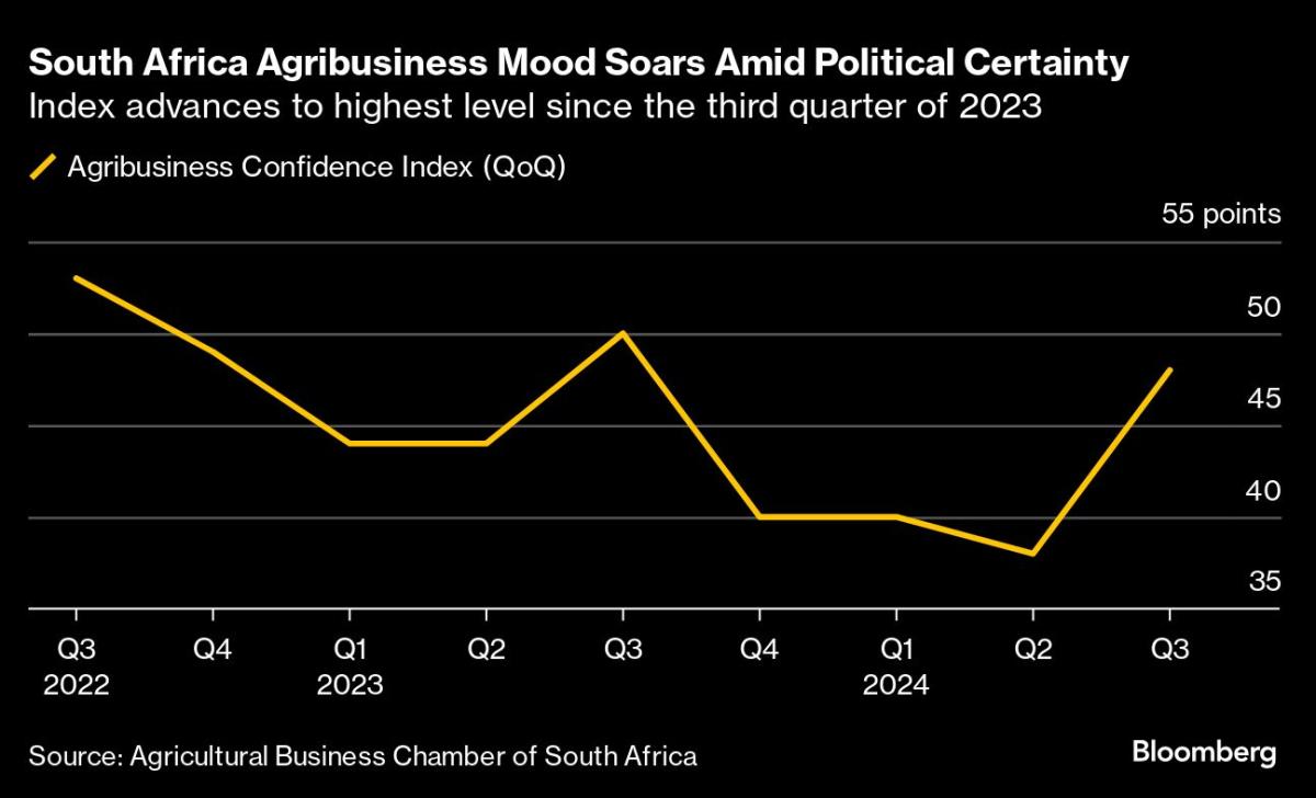 S. African Agribusiness Mood Rallies as Political Tensions Ease