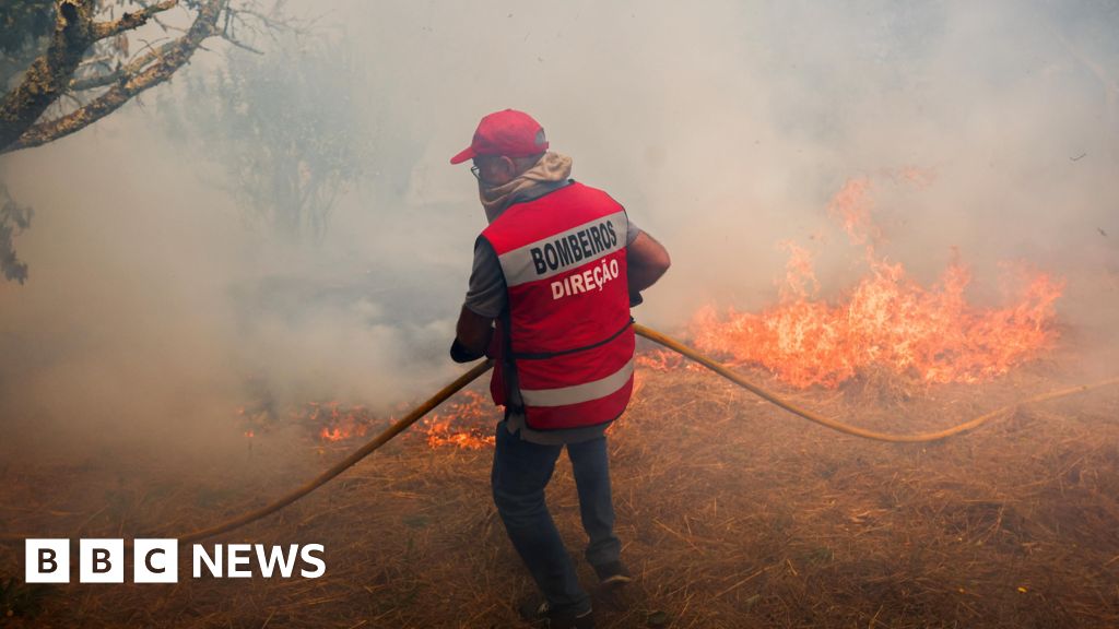 EU mobilises firefighting planes to tackle Portuguese wildfires