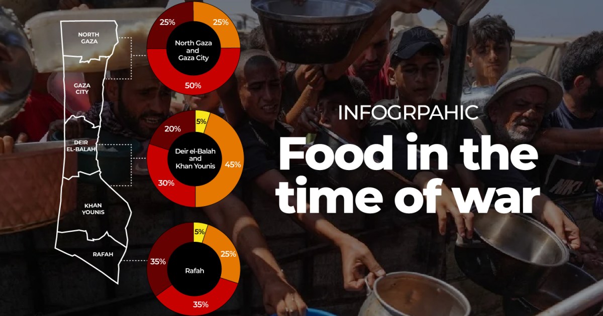 Young chef Renad inspires Gaza with viral cooking videos | Infographic News