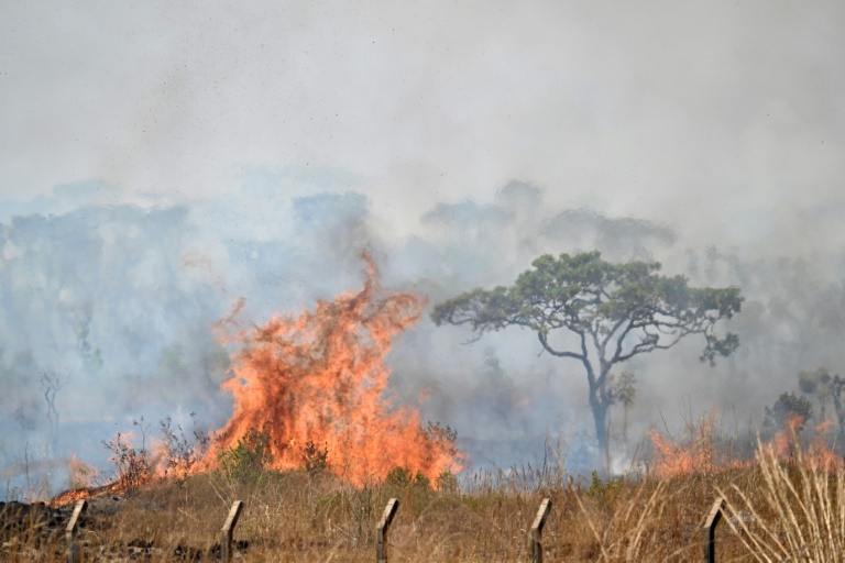 Wildfires have consumed millions of hectares of land in recent weeks in Brazil (EVARISTO SA)