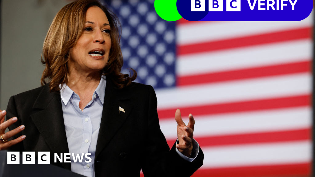 Baseless claim about Kamala Harris crash spread by mysterious site