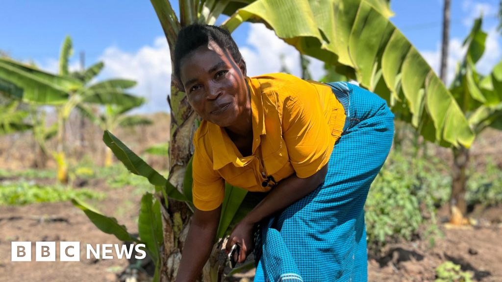 Malawi's growing industry to beat climate change