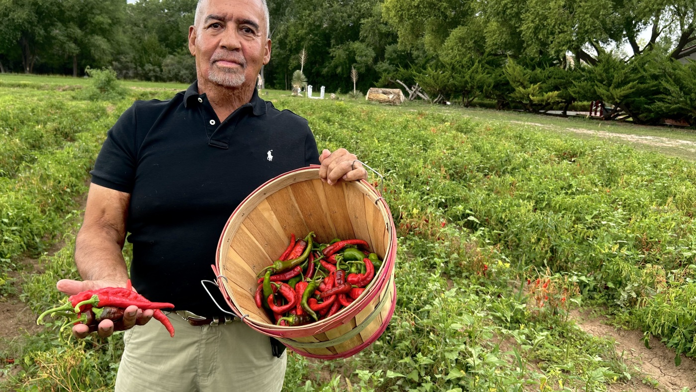 Chimayo Red, New Mexico's 'holy chile' : NPR