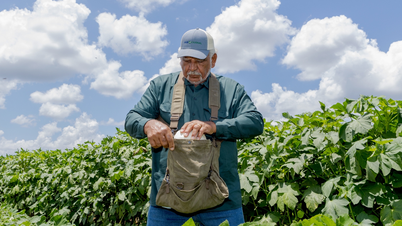 These small Black-owned farms are helping find climate solutions : NPR