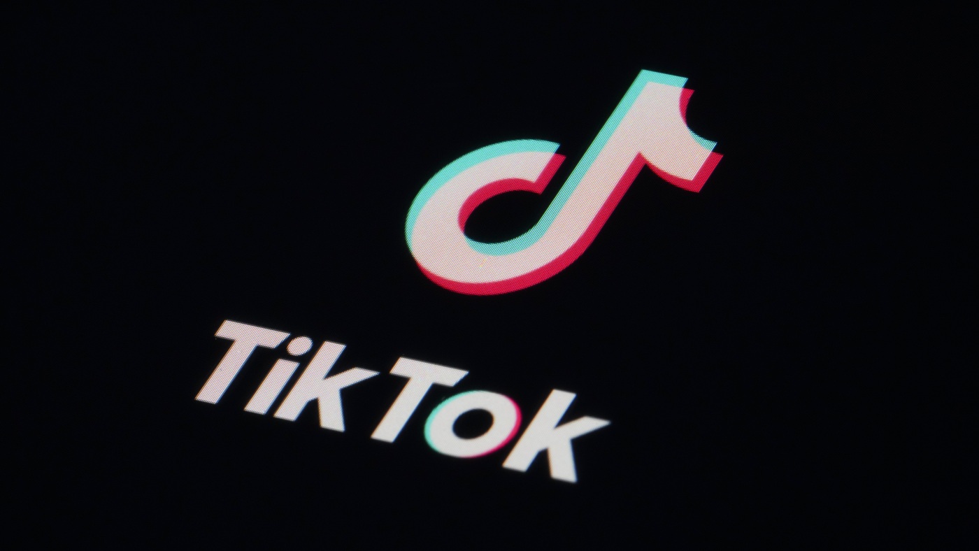 TikTok asks federal appeals court to overturn ban : NPR