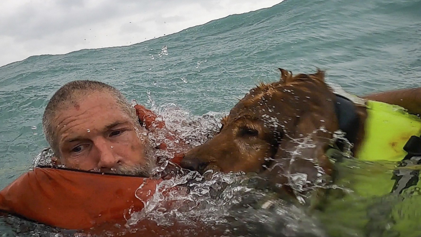 The Coast Guard save a man and his dog from a sinking boat off the coast of Florida : NPR