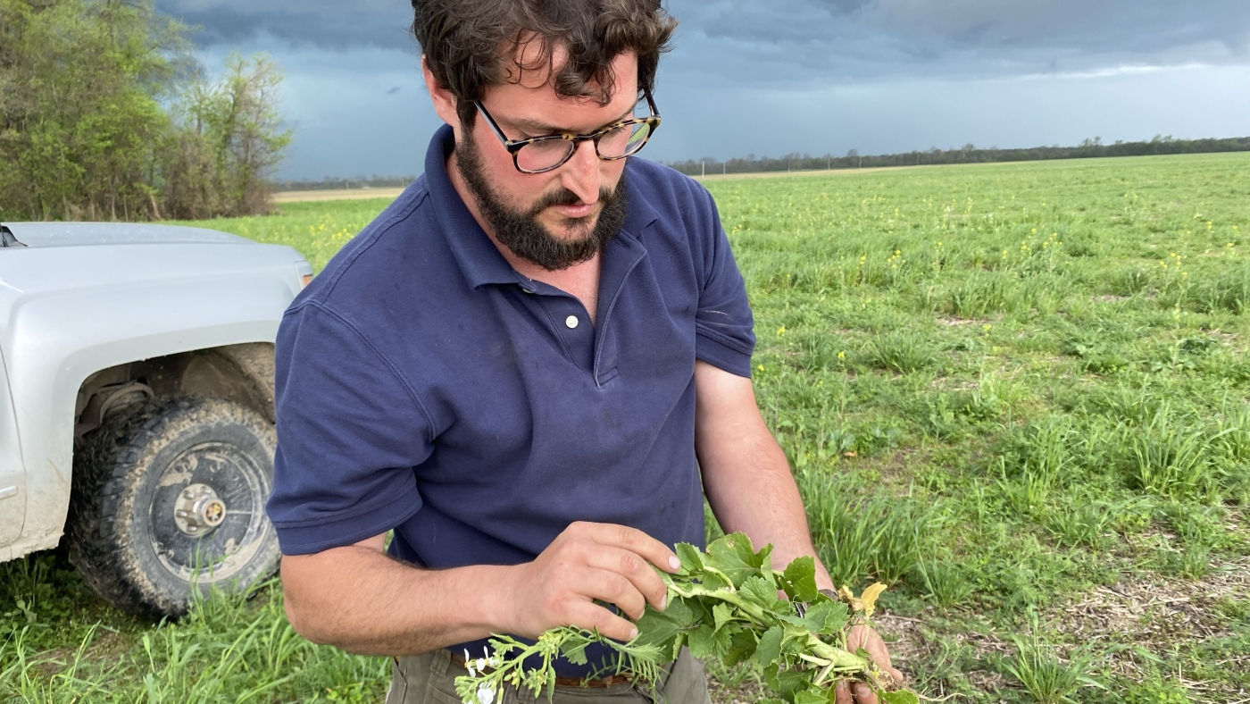 Climate claims about soil carbon on farms concern many scientists : NPR