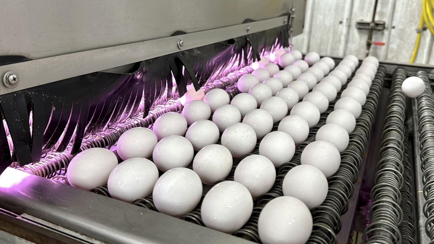 Why are eggs so expensive? : NPR