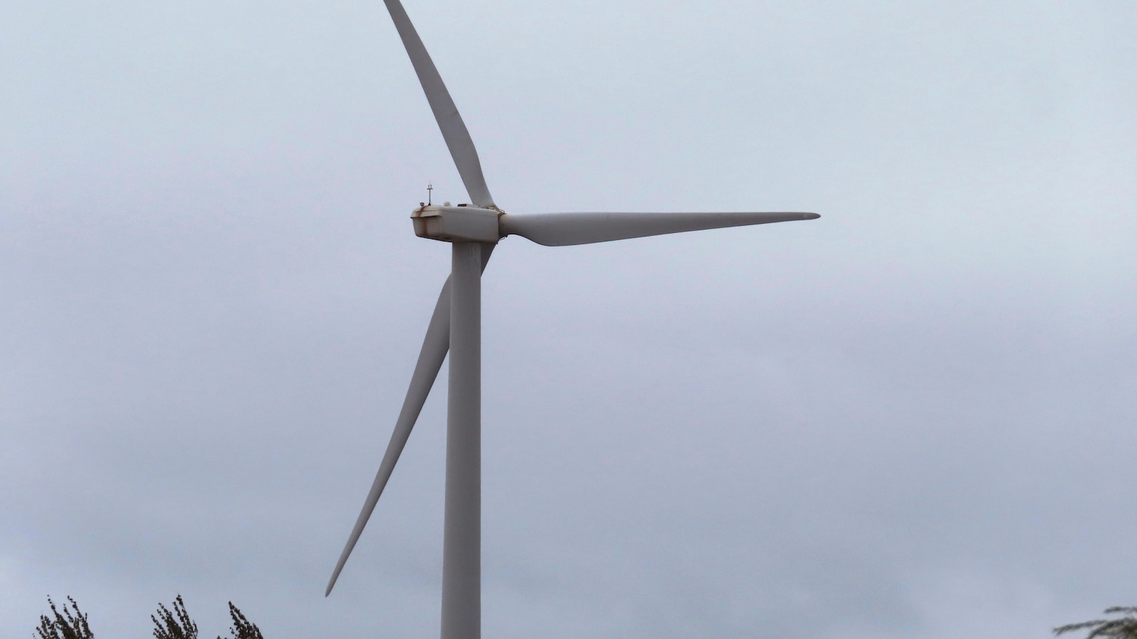 New Jersey hits pause on an offshore wind farm that can't find turbine blades