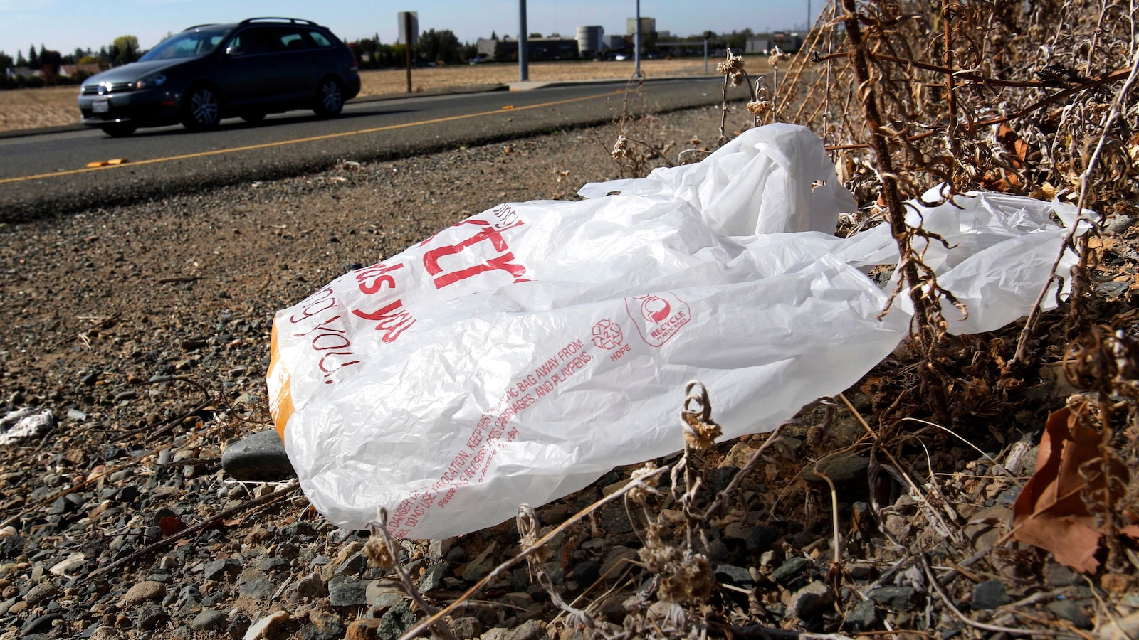 California governor signs law banning all plastic shopping bags at grocery stores