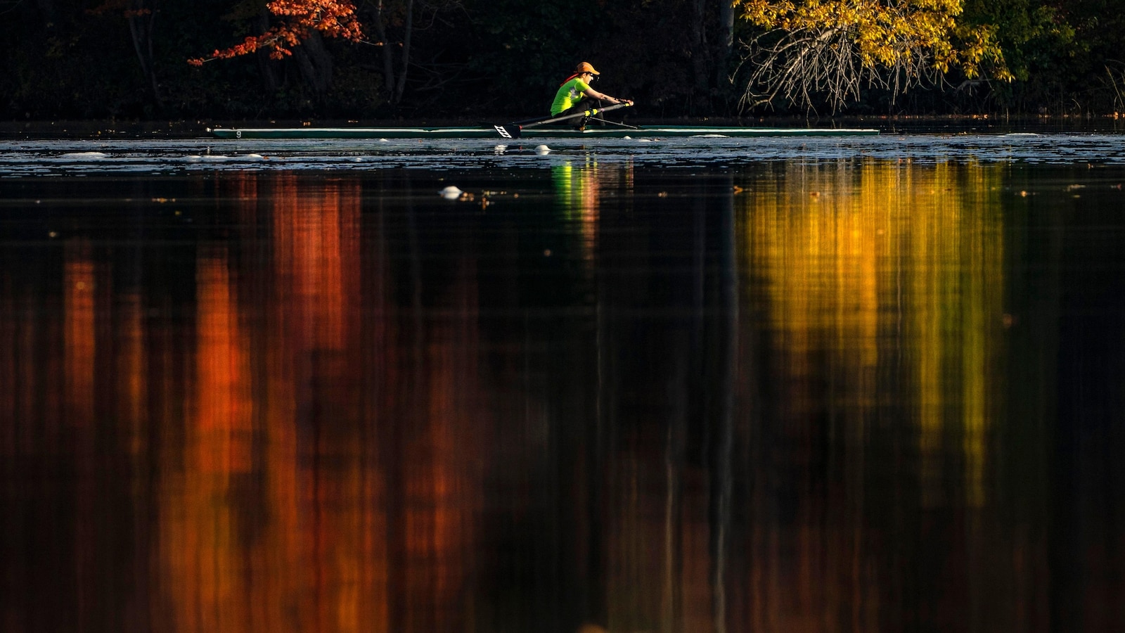 The Midwest could offer fall’s most electric foliage but leaf peepers elsewhere won’t miss out