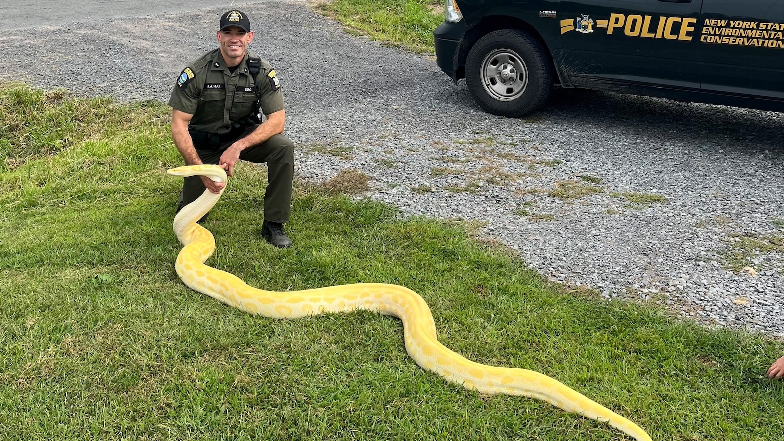 A 13-foot (and growing) python was seized from a New York home and sent to a zoo