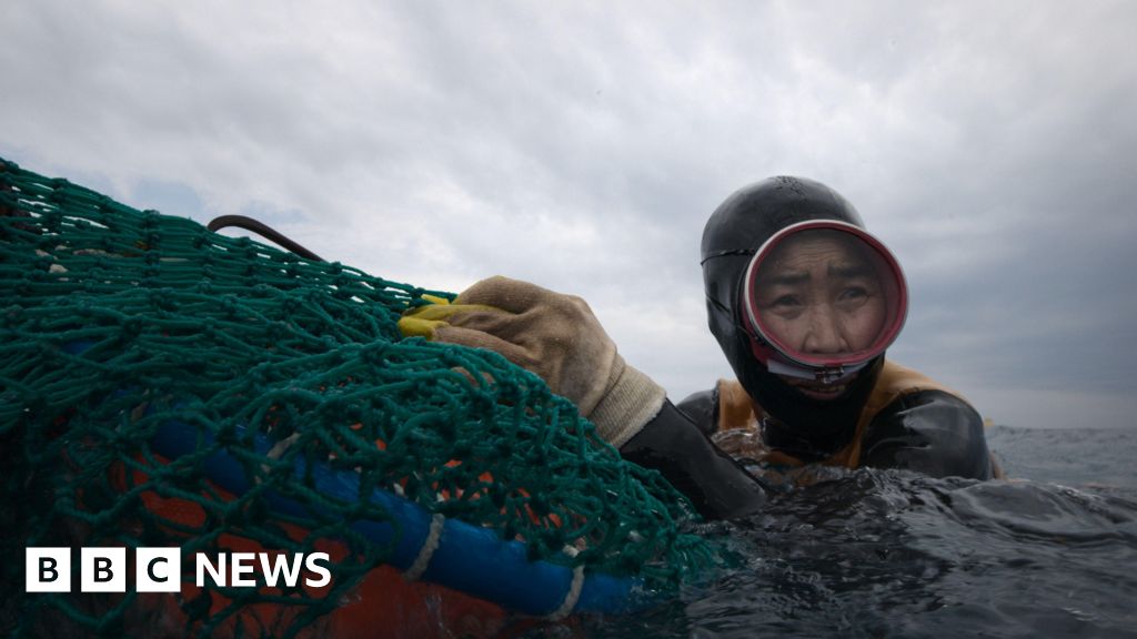 How South Korea's 'real-life mermaids' made her want to learn to swim