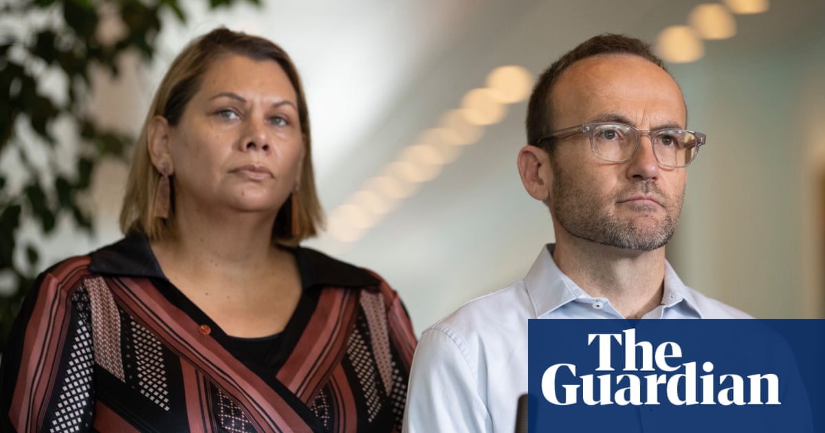 Adam Bandt defends Greens response to bullying allegations against WA senator | Australian Greens