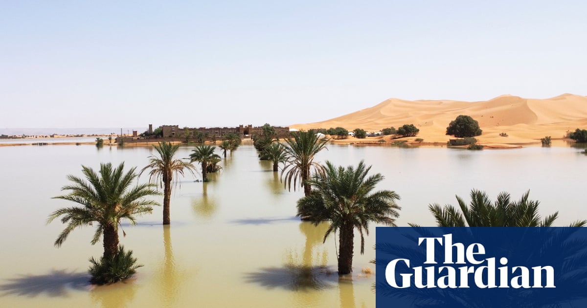 Dramatic images show the first floods in the Sahara in half a century | Flooding