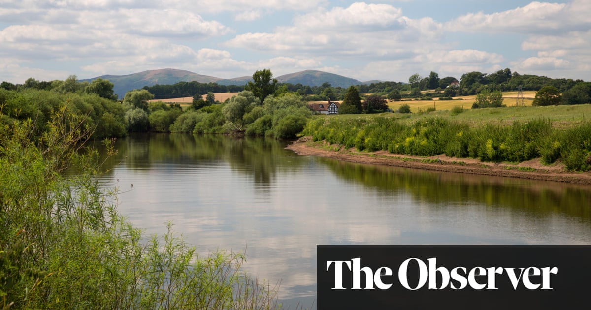 Top-rated UK water firms ‘dumped 1,374 illegal spills into rivers’ | Water