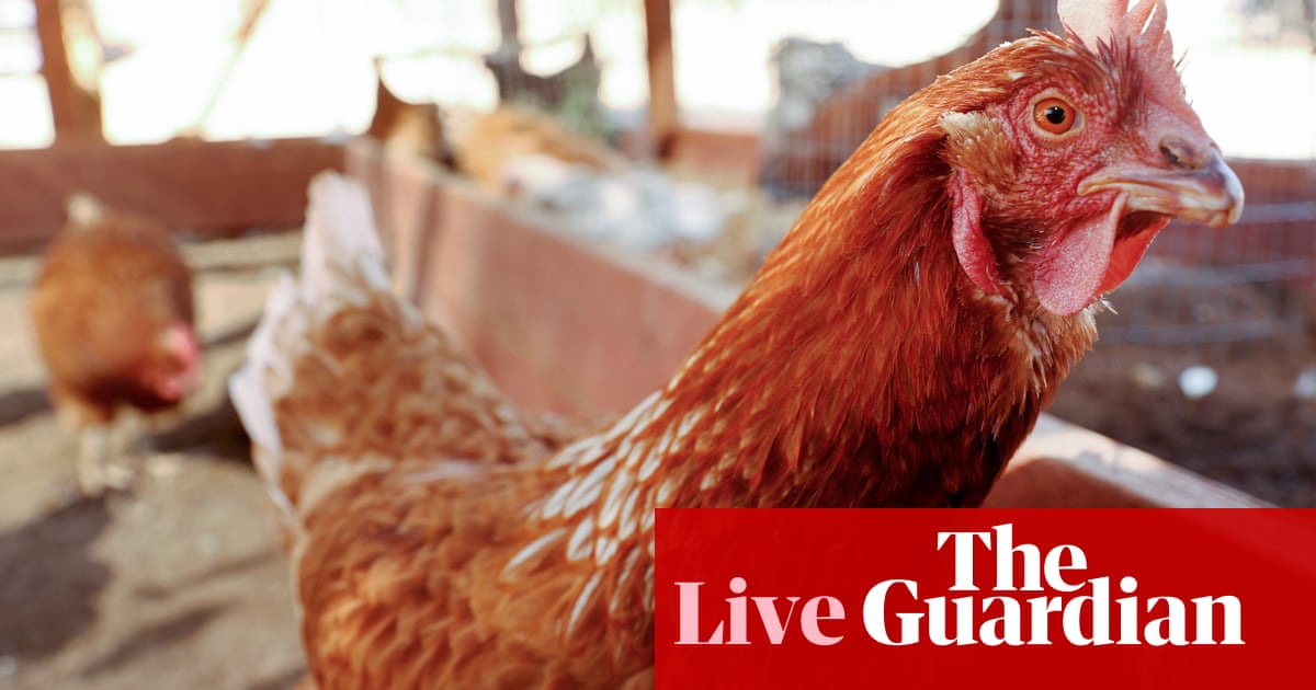 Australia news live: Labor commits $95m to prepare for deadly bird flu; republicans to welcome king’s visit with ‘farewell tour’ T-shirts | Australia news