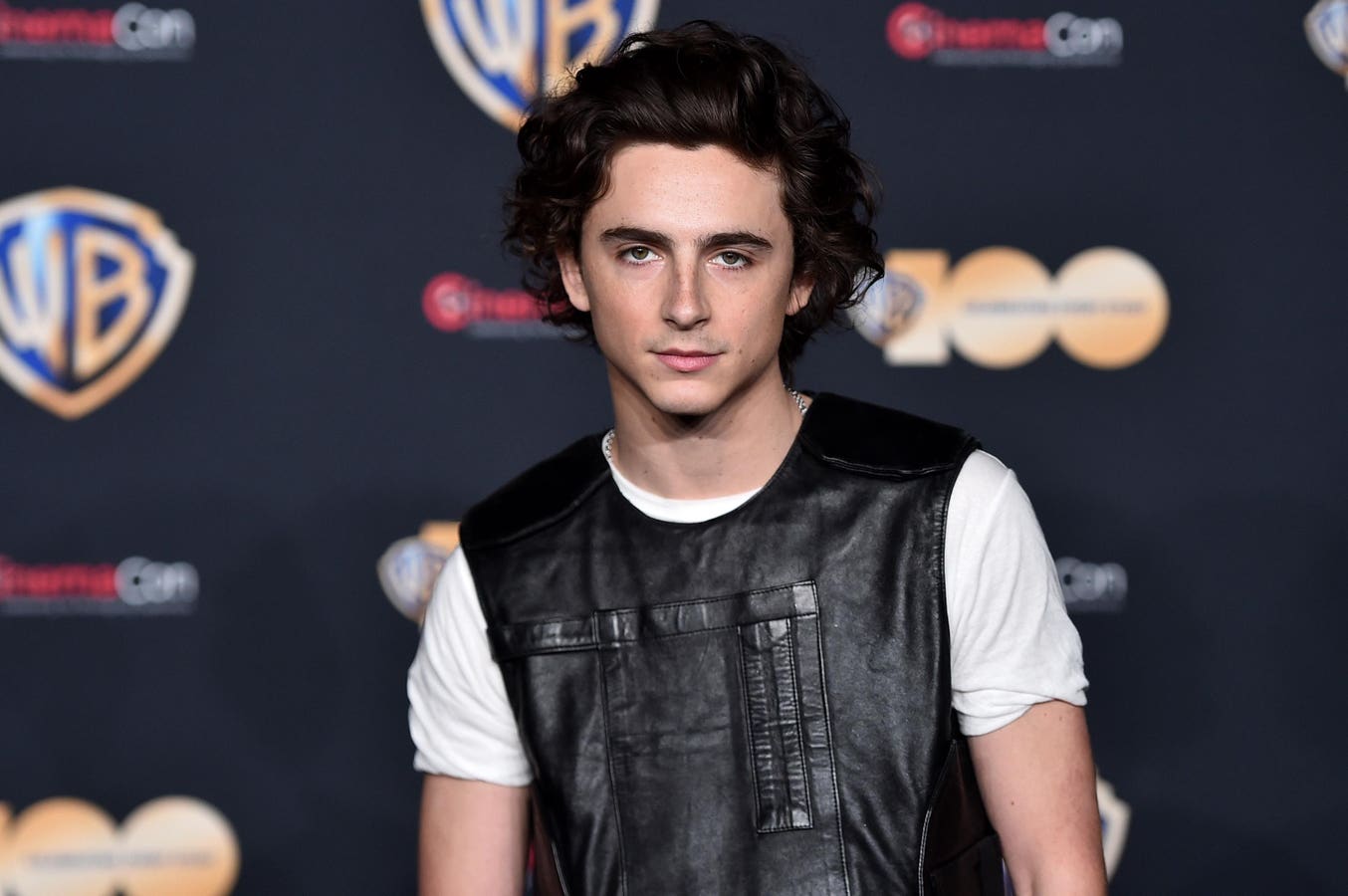 The Timothée Chalamet Lookalike Contest, Explained