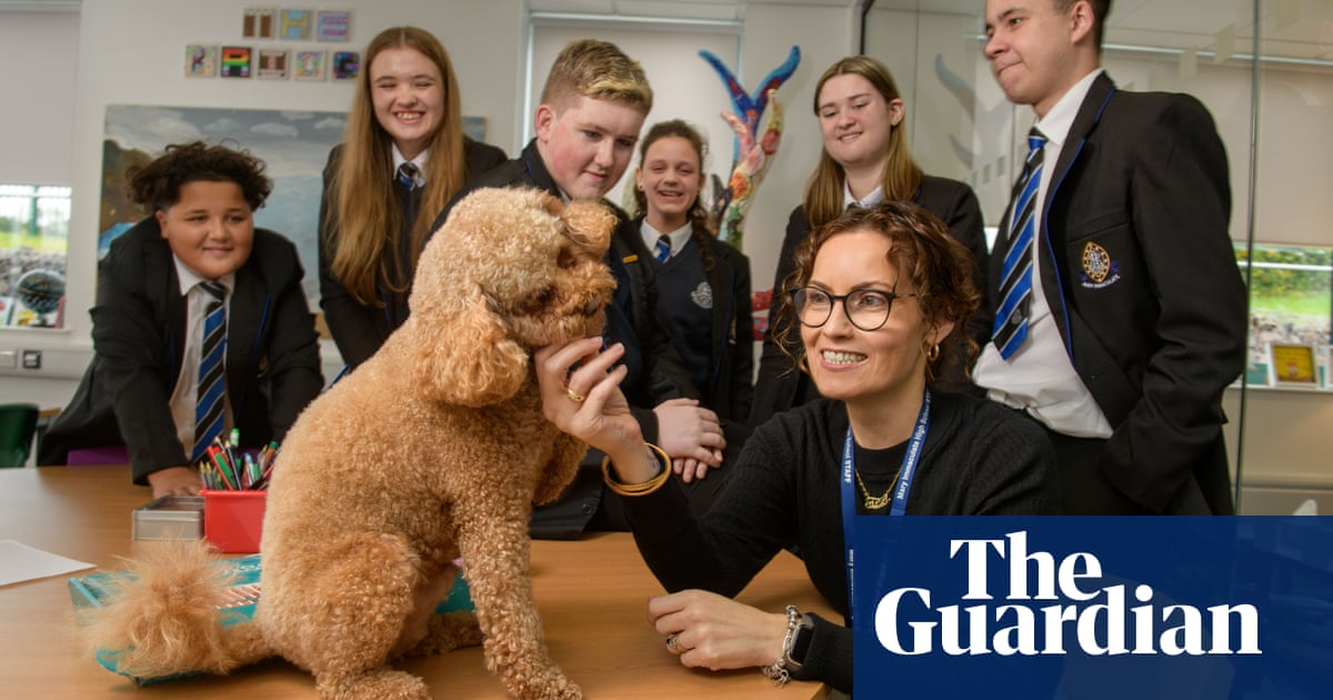 Schools in England and Wales use dogs and prize draws to lure absent pupils back | School attendance and absence