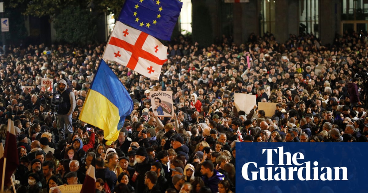 Thousands of Georgians demonstrate against contested election results | Georgia